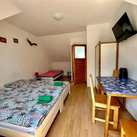 Gasthuis Leniwy Kot 3*