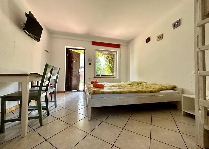 Leniwy Kot Stegna (Pomerania)