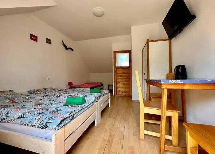 Πανσιόν Leniwy Kot