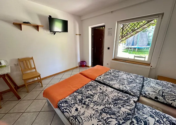 Leniwy Kot Πανσιόν 3*